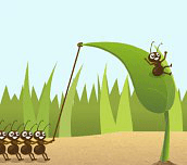 Hra - Heroic Ants