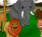 ZOO Coloring
