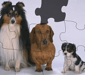 Puzzle so zvieratkami