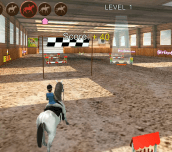Hra - HorseJumping3D