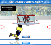 Hra - Ice Hockey Challenge!