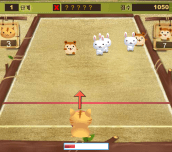 Hra - Cat Bowling