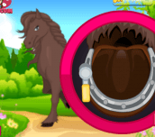 Hra - HorseGrooming3