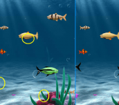 Hra - Fishing Difference