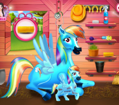 Rainbow Dash Pony And The Newborn Baby